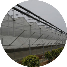 фото категории